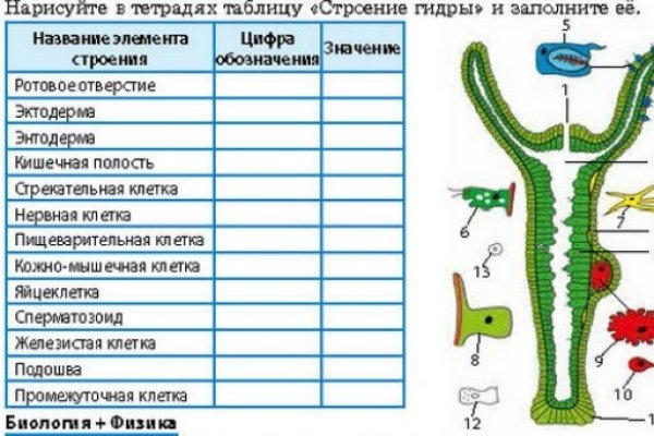 Гидра сайт в тор браузере ссылка