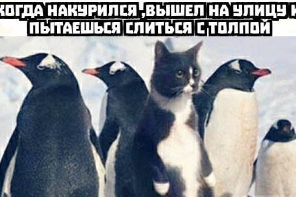 Как зайти на площадку кракен