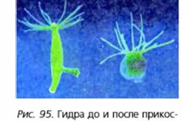 Замена hydra