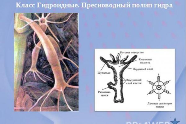 Кракен супернет маркет